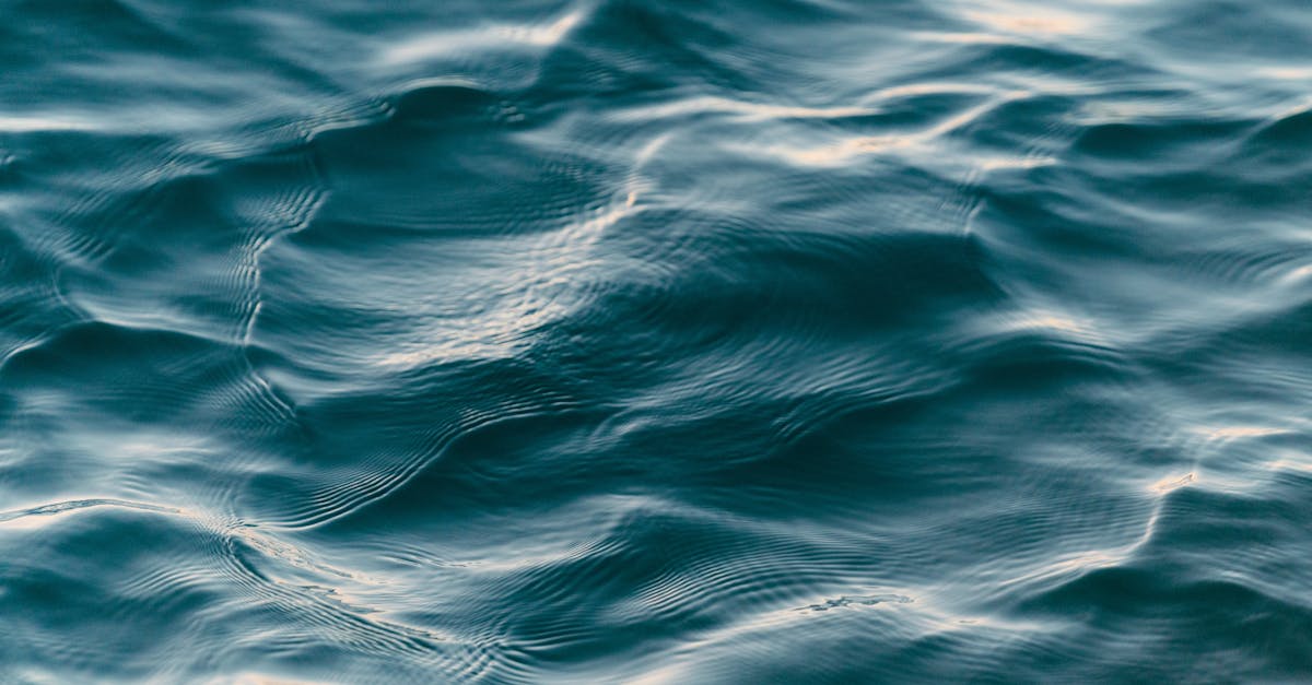 Exploring the Best Methods for Fixing Dead Pixels