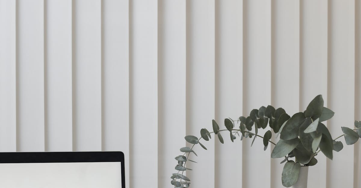 Solutions for External Monitor Resolution Issues with Laptops